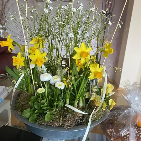 Schoenes Mit Aussicht Ueber * גראץ