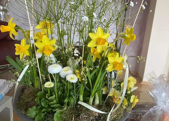 Schoenes Mit Aussicht Ueber * غراتس